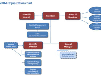 Organizational chart of the Italian NMI